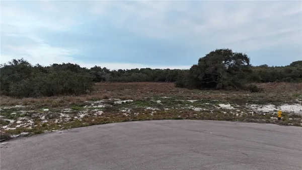 a view of a dry yard