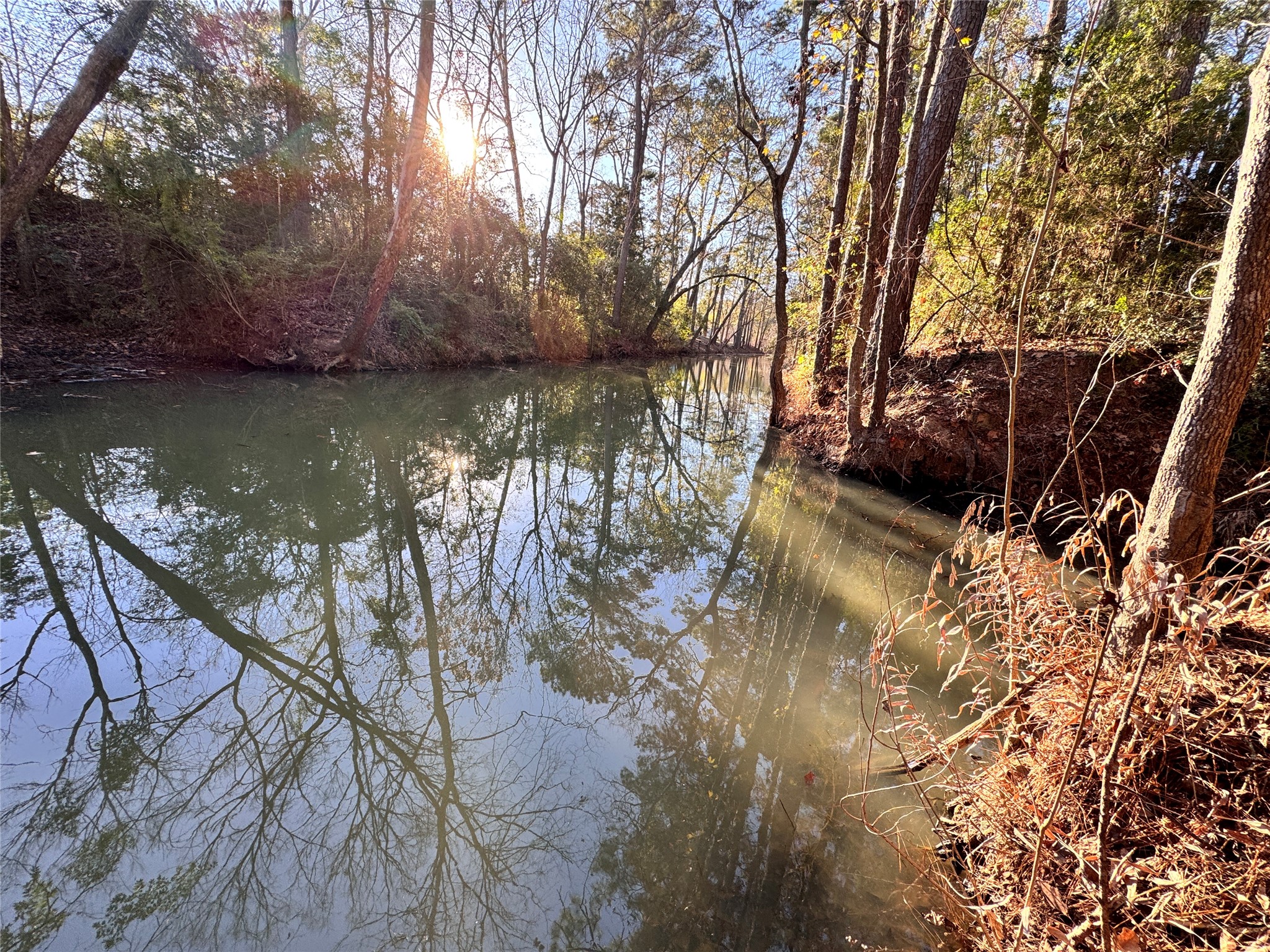 Lot 98 Barbil Lane Huffman, TX 77336 - Photo 1 of 14 a view of lake with green space