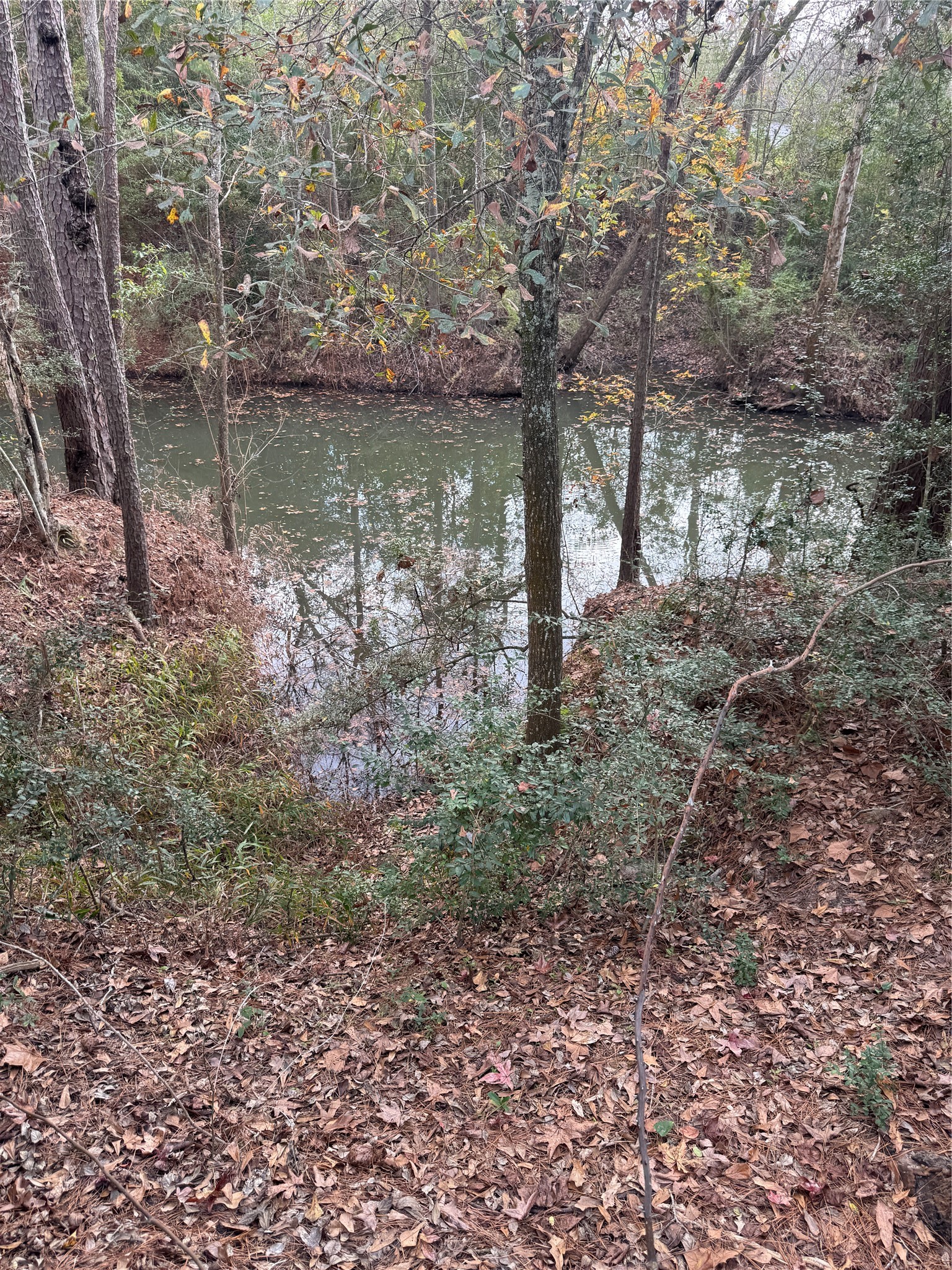 Lot 98 Barbil Lane Huffman, TX 77336 - Photo 7 of 14 a view of lake with green space