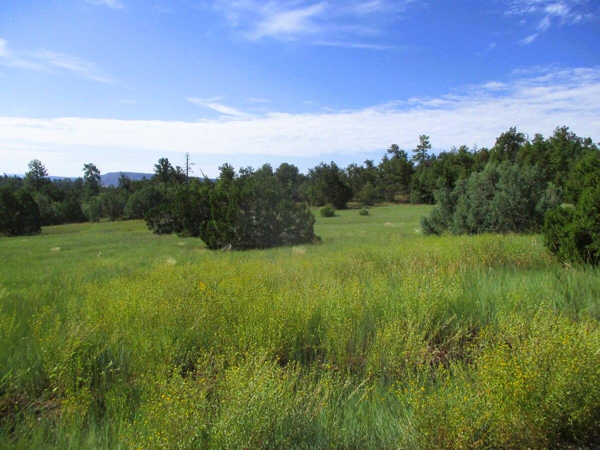 5-6 Black Bear Road Ramah, NM 87321 - Photo 31 of 64 Gallery Image 31