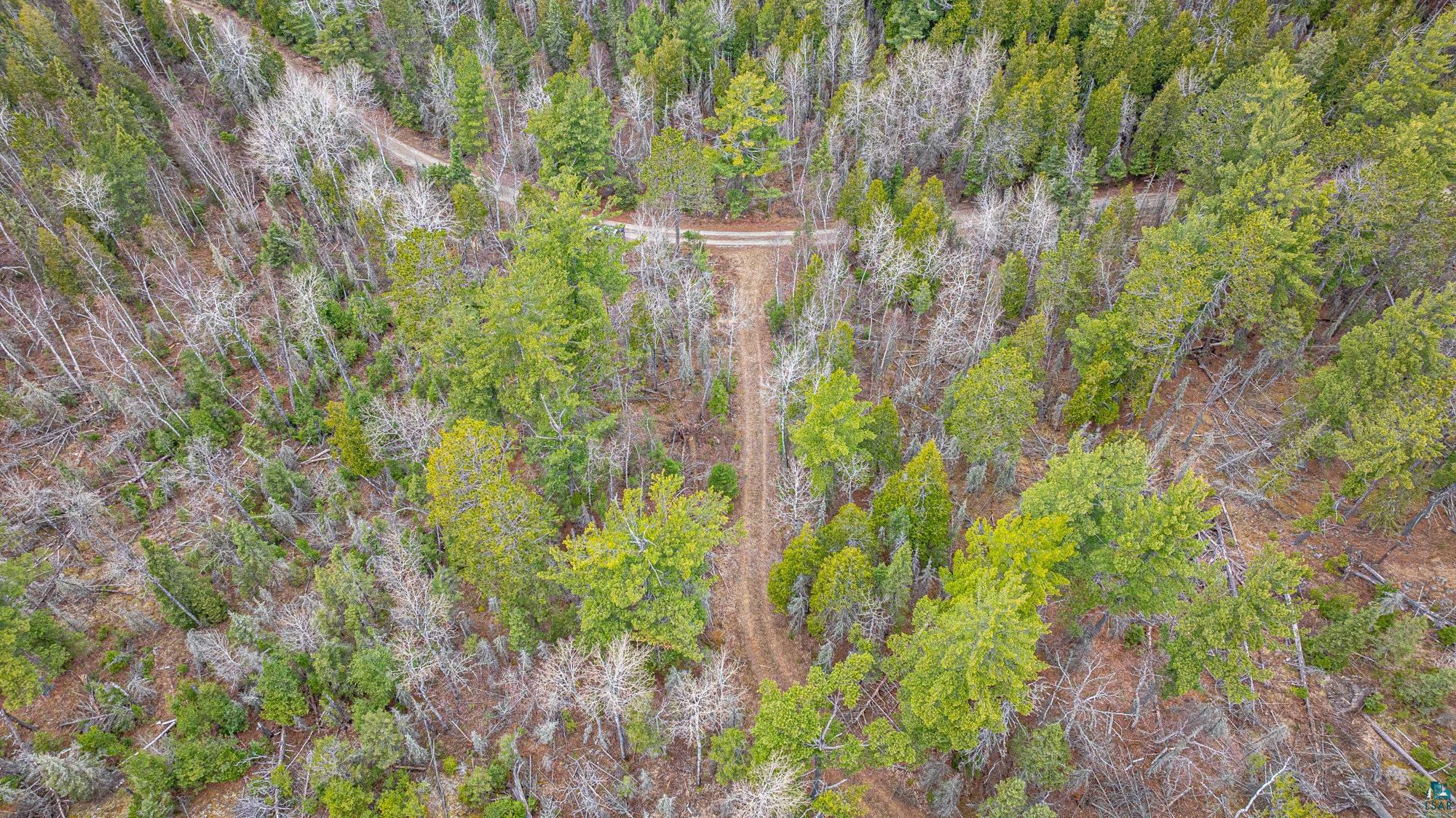 Tbd Lindbeck Road Ely, MN 55731 - Photo 38 of 44