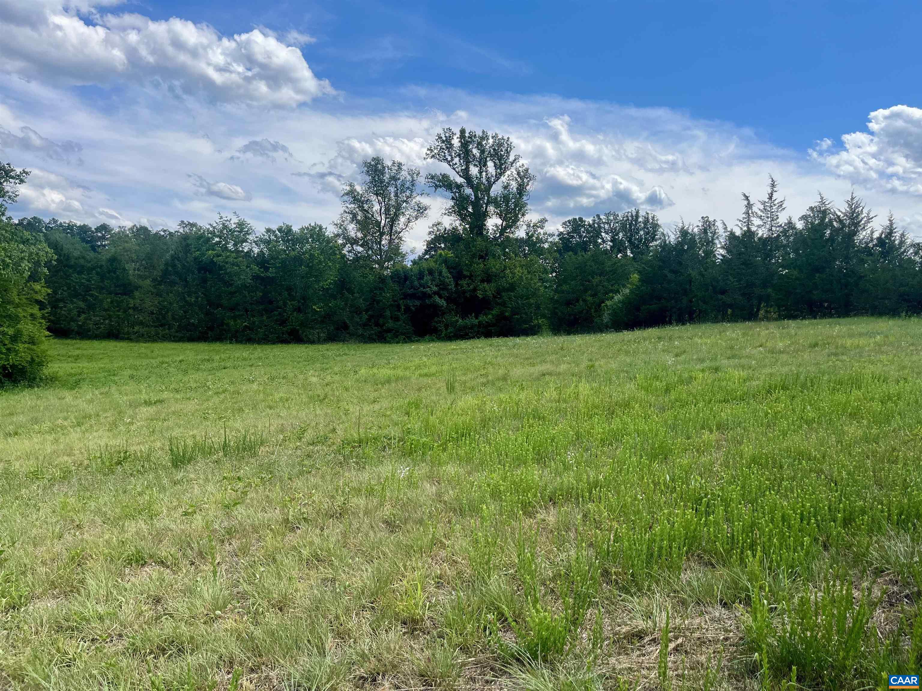 Burchs Creek Road Crozet, VA 22932 - Photo 8 of 13