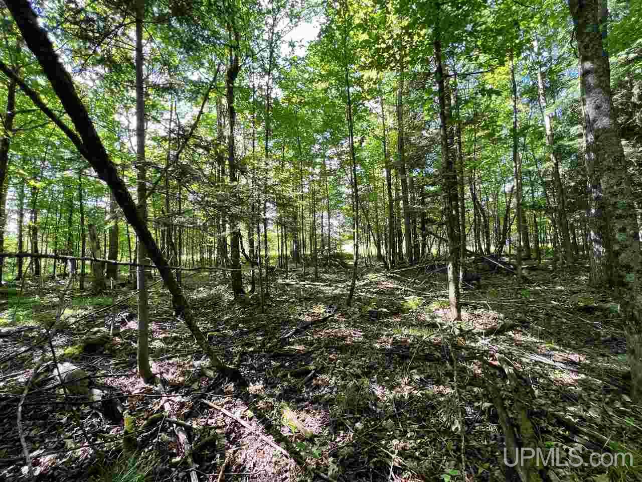Tbd Pirkola Road Watton, MI 49970 - Photo 13 of 29