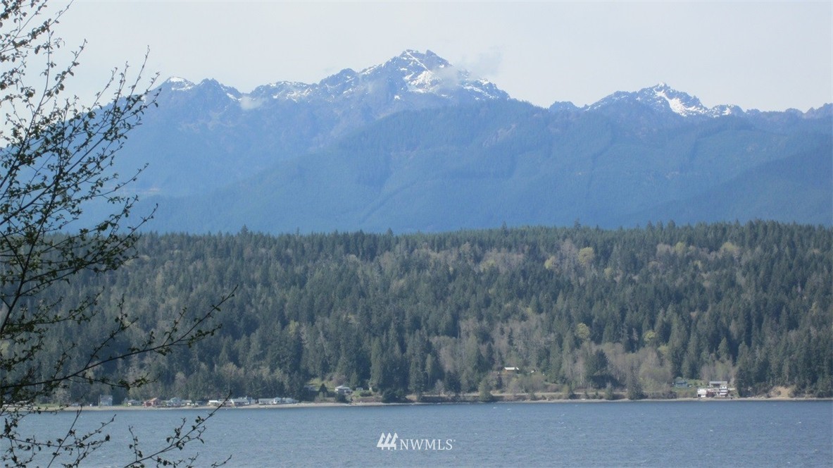 -xxx Northeast Manke Road Tahuya, WA 98588 - Photo 2 of 25 Gallery Image 2