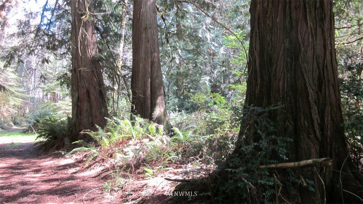 -xxx Northeast Manke Road Tahuya, WA 98588 - Photo 11 of 25 Gallery Image 11