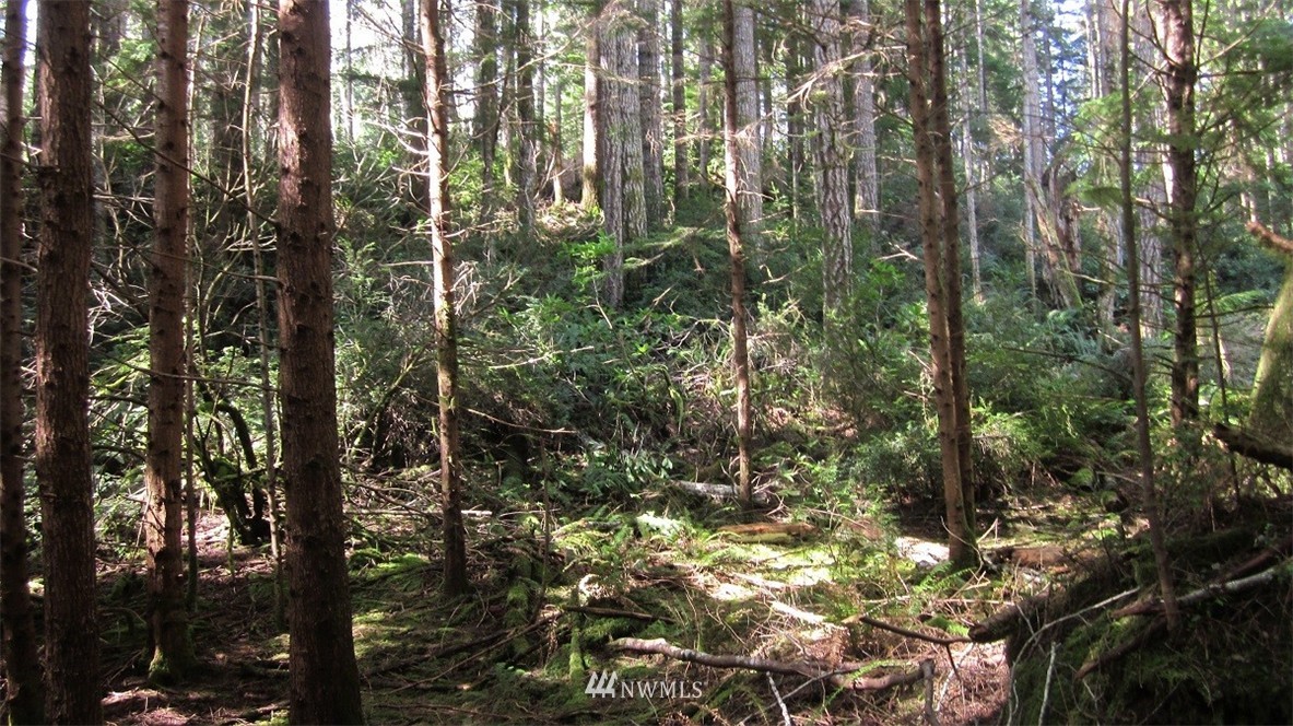 -xxx Northeast Manke Road Tahuya, WA 98588 - Photo 12 of 25 Gallery Image 12