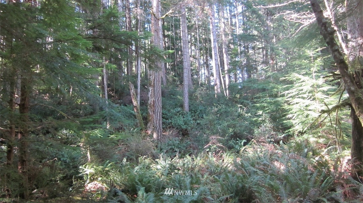 -xxx Northeast Manke Road Tahuya, WA 98588 - Photo 13 of 25 Gallery Image 13