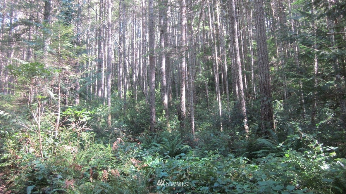 -xxx Northeast Manke Road Tahuya, WA 98588 - Photo 14 of 25 Gallery Image 14