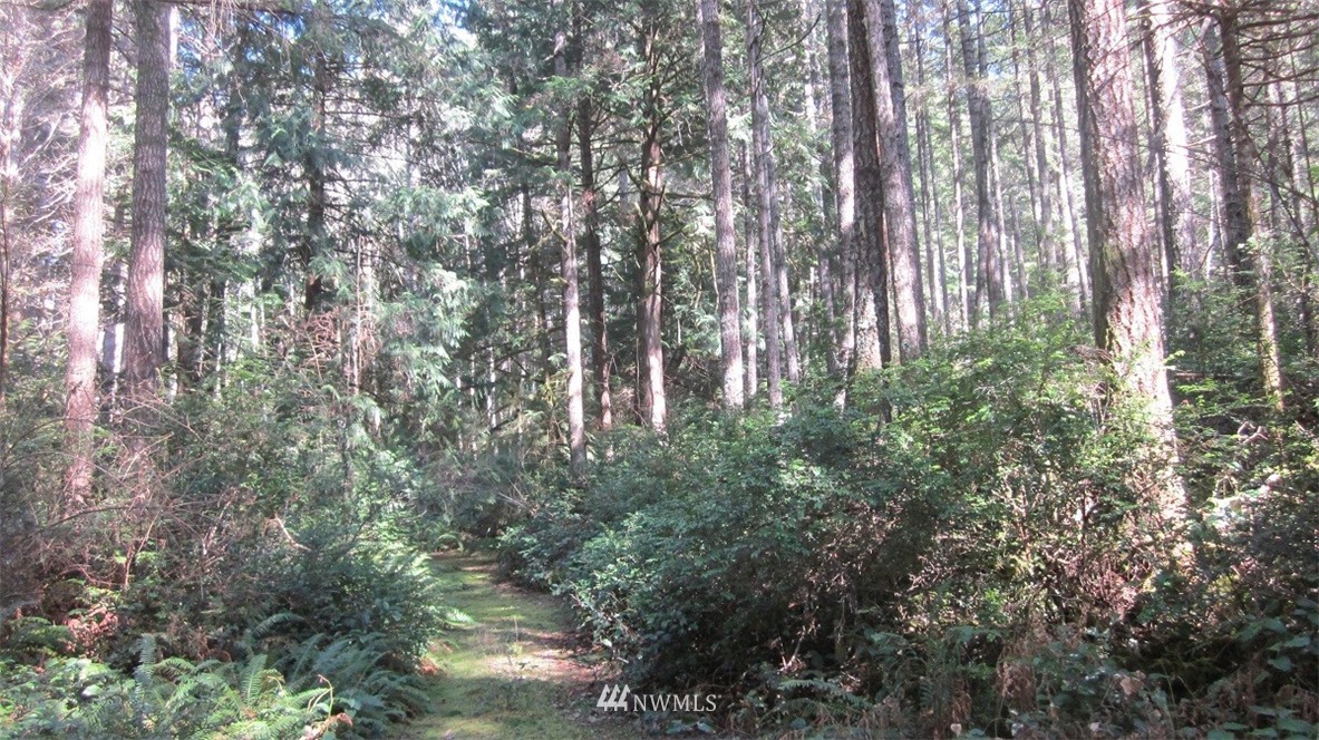 -xxx Northeast Manke Road Tahuya, WA 98588 - Photo 15 of 25 Gallery Image 15