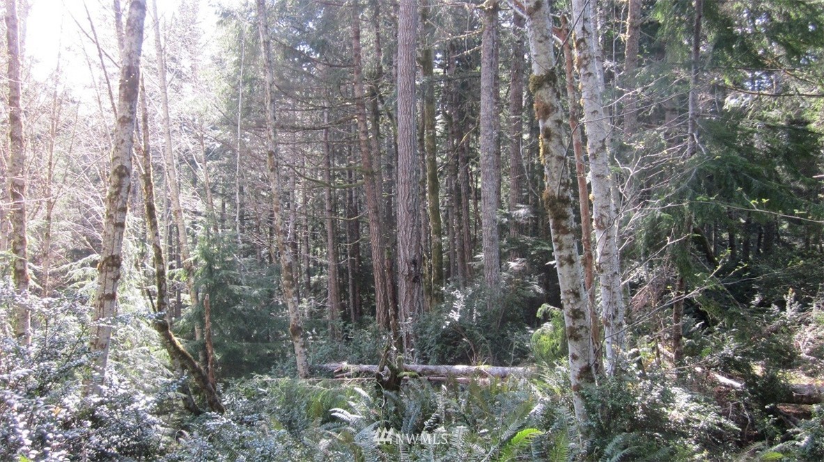 -xxx Northeast Manke Road Tahuya, WA 98588 - Photo 17 of 25 Gallery Image 17