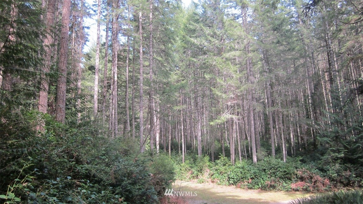 -xxx Northeast Manke Road Tahuya, WA 98588 - Photo 18 of 25 Gallery Image 18