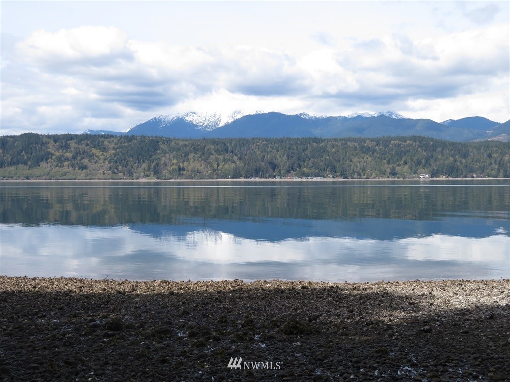 -xxx Northeast Manke Road Tahuya, WA 98588 - Photo 3 of 25 Gallery Image 3