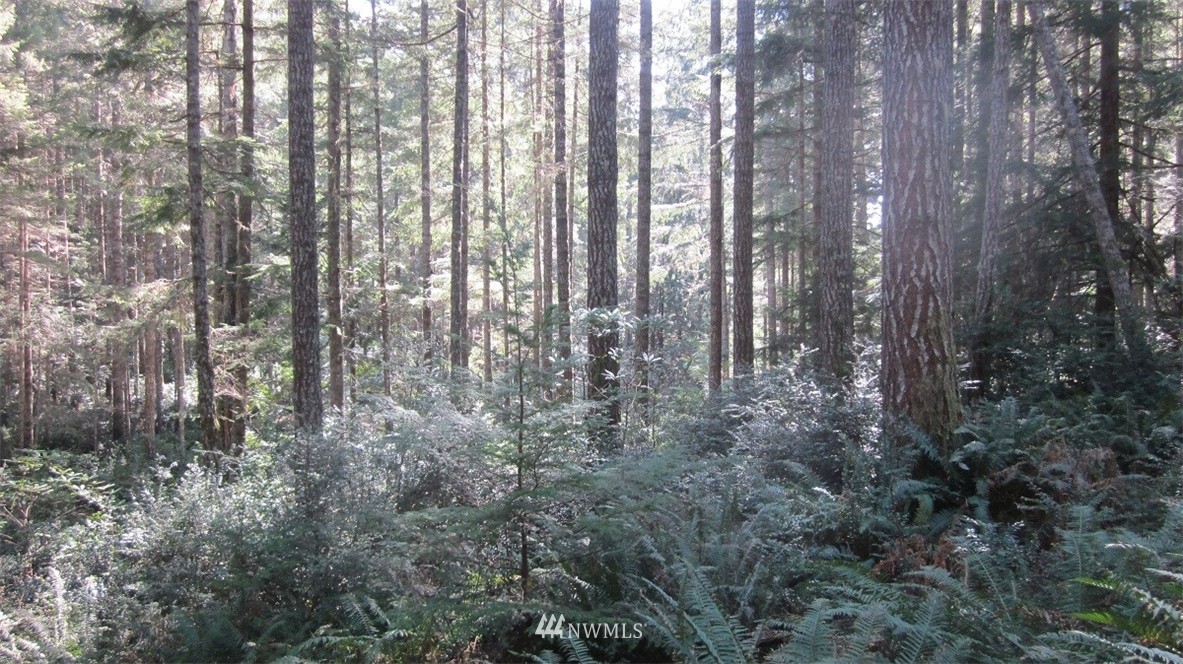 -xxx Northeast Manke Road Tahuya, WA 98588 - Photo 21 of 25 Gallery Image 21