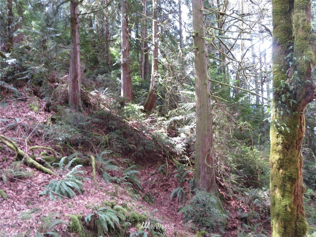 -xxx Northeast Manke Road Tahuya, WA 98588 - Photo 22 of 25 Gallery Image 22