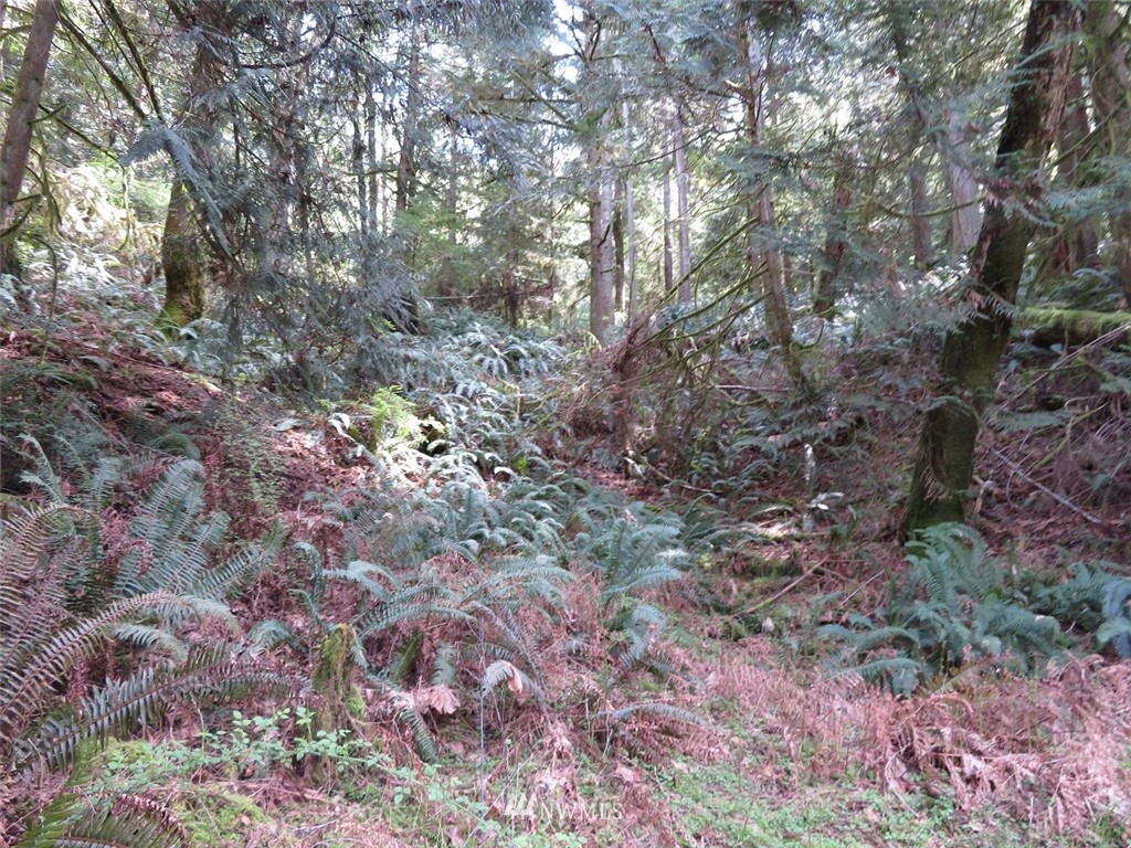 -xxx Northeast Manke Road Tahuya, WA 98588 - Photo 23 of 25 Gallery Image 23