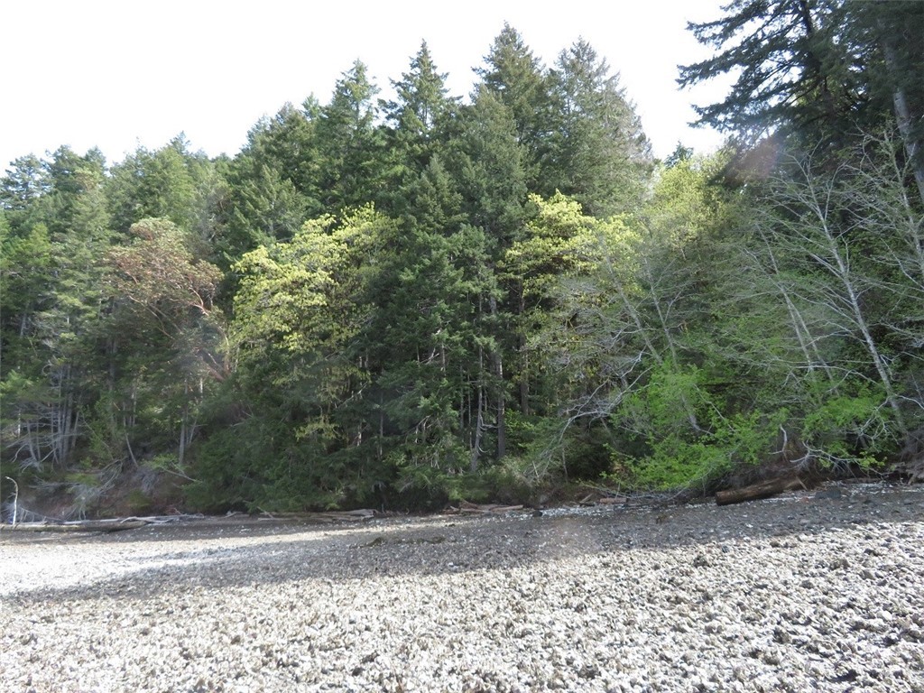 -xxx Northeast Manke Road Tahuya, WA 98588 - Photo 24 of 25 Gallery Image 24