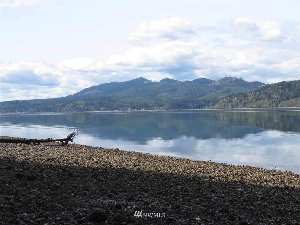 -xxx Northeast Manke Road Tahuya, WA 98588 - Photo 4 of 25 Gallery Image 4