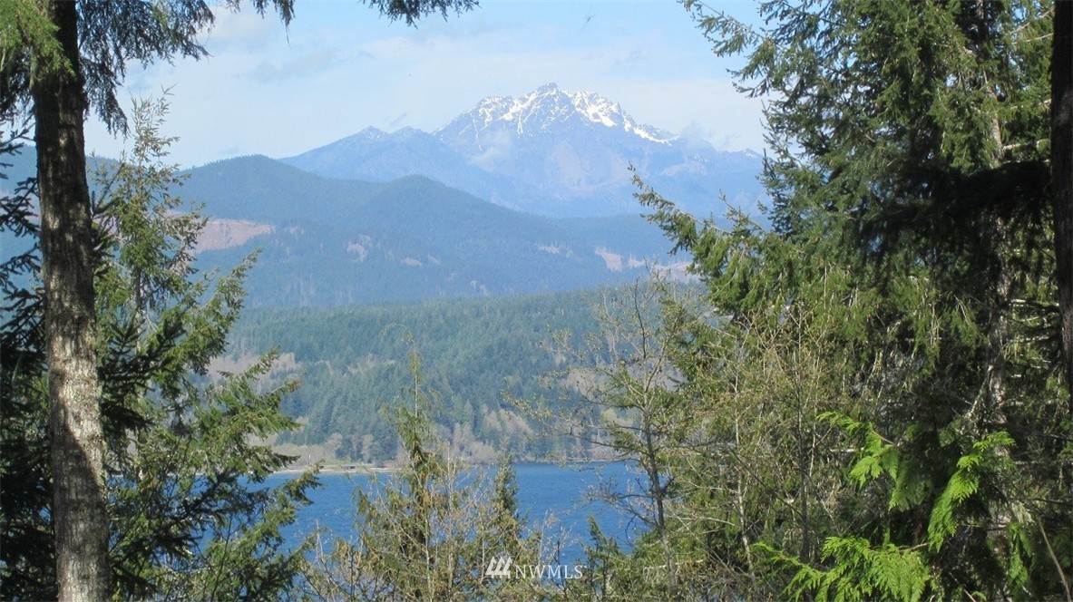 -xxx Northeast Manke Road Tahuya, WA 98588 - Photo 5 of 25 Gallery Image 5
