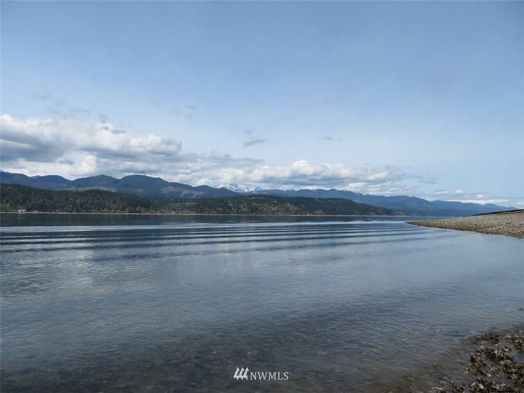 -xxx Northeast Manke Road Tahuya, WA 98588 - Photo 6 of 25 Gallery Image 6