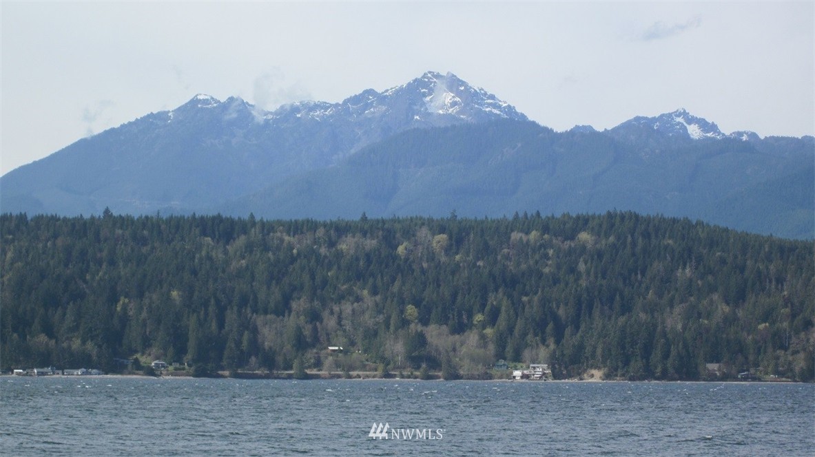 -xxx Northeast Manke Road Tahuya, WA 98588 - Photo 7 of 25 Gallery Image 7