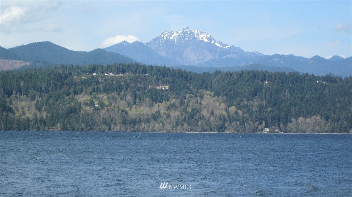 -xxx Northeast Manke Road Tahuya, WA 98588 - Photo 8 of 25 Gallery Image 8