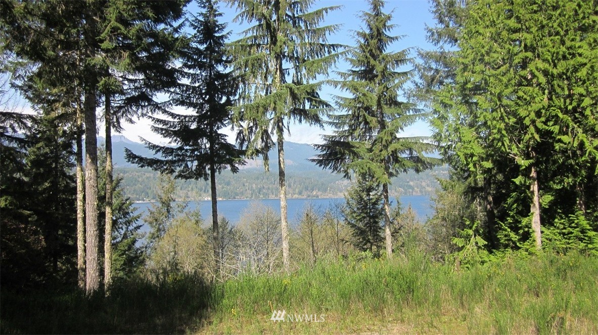 -xxx Northeast Manke Road Tahuya, WA 98588 - Photo 9 of 25 Gallery Image 9
