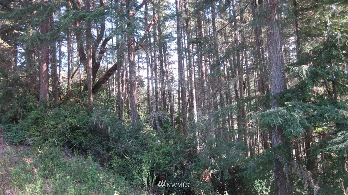 -xxx Northeast Manke Road Tahuya, WA 98588 - Photo 10 of 25 Gallery Image 10