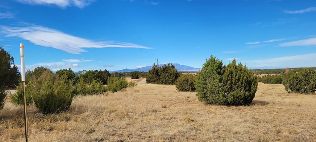 Lot 34 Silver Spur Road Walsenburg, CO 81089 - Photo 25 of 43
