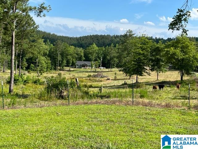 8134 Clairmont Springs Road Lineville, AL 36266 - Photo 26 of 36