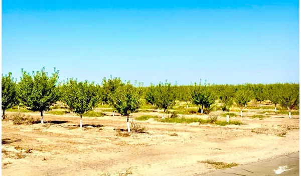 a view of ocean view