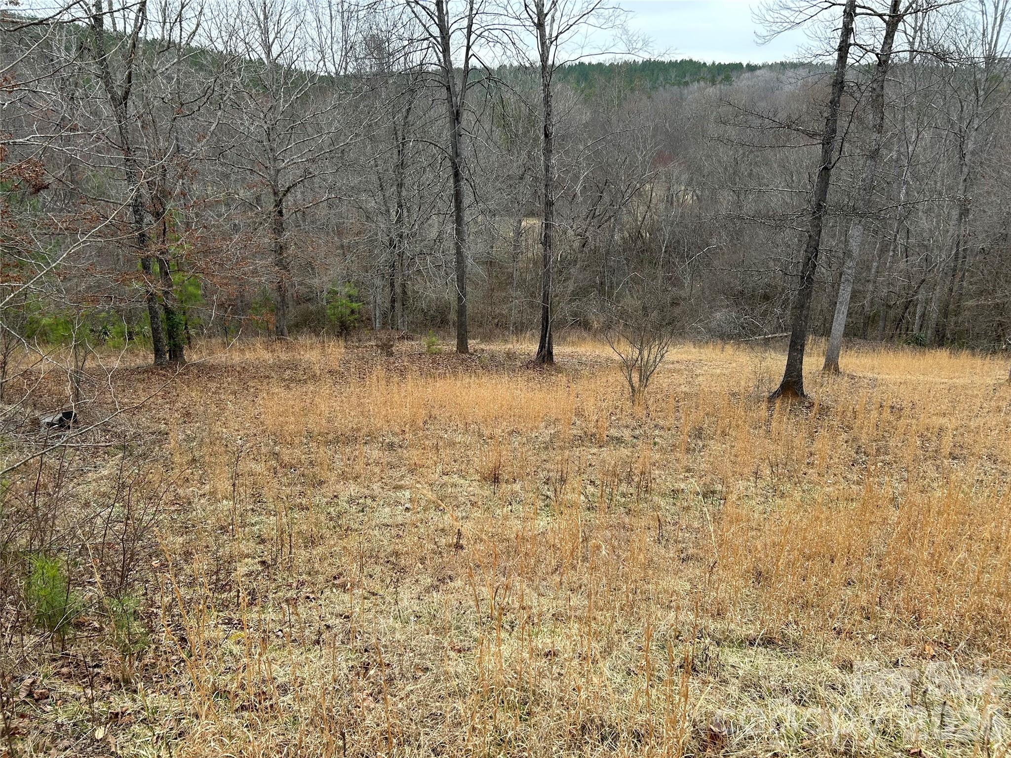 322 Balmy Lane Rutherfordton, NC 28139 - Photo 2 of 34 a view of a yard with trees