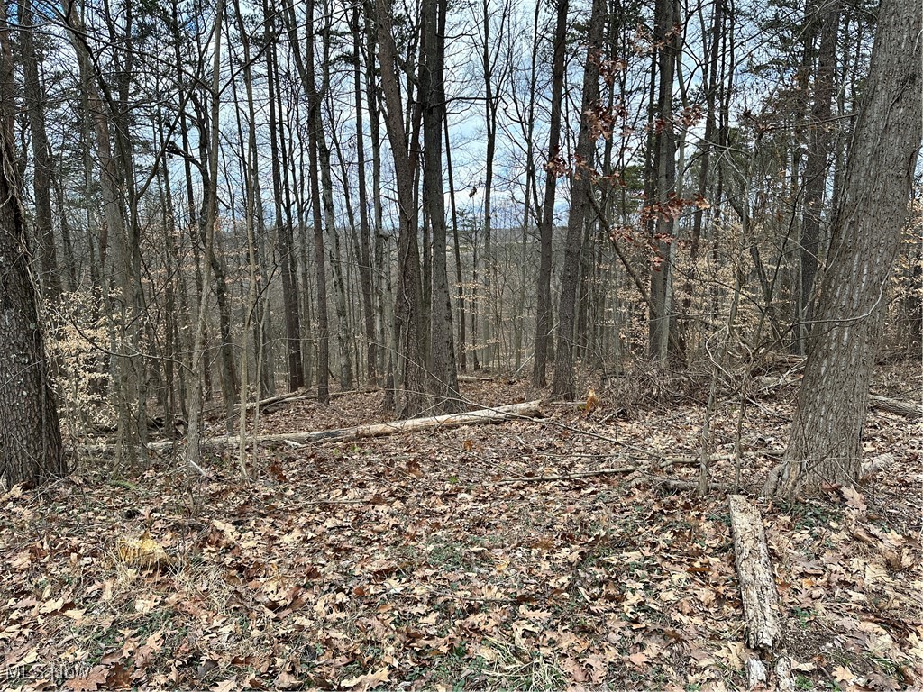 0 Fisher Ridge Road Fleming, OH 45729 - Photo 5 of 7 View of nature