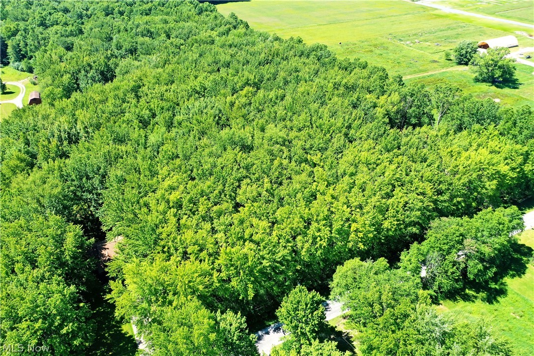 Airport Road Northwest Warren, OH 44481 - Photo 7 of 19