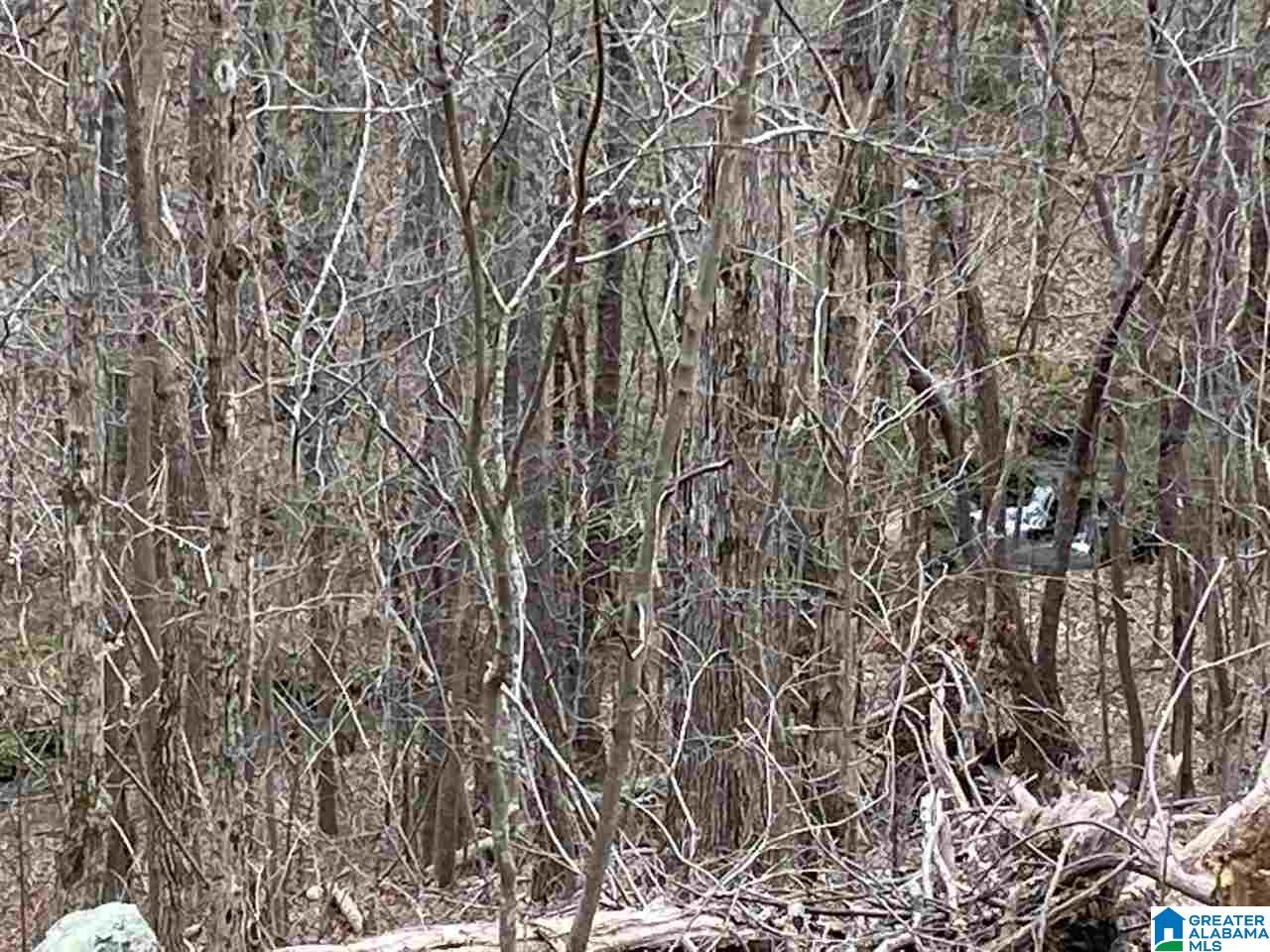 722 Robinson Road Gallant, AL 35972 - Photo 12 of 31