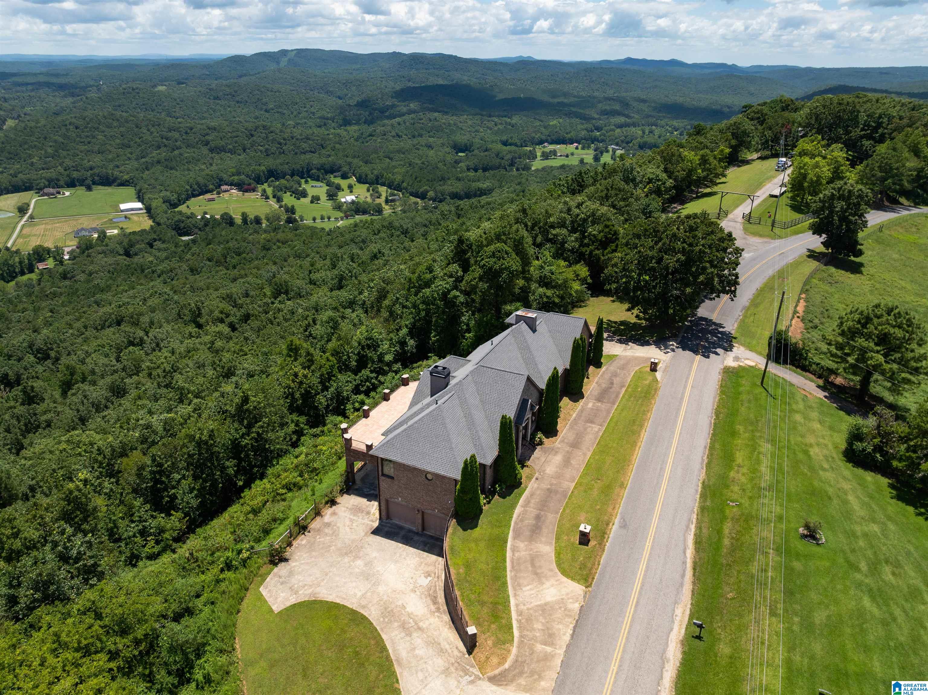8378 Pine Mountain Road Springville, AL 35146 - Photo 48 of 59