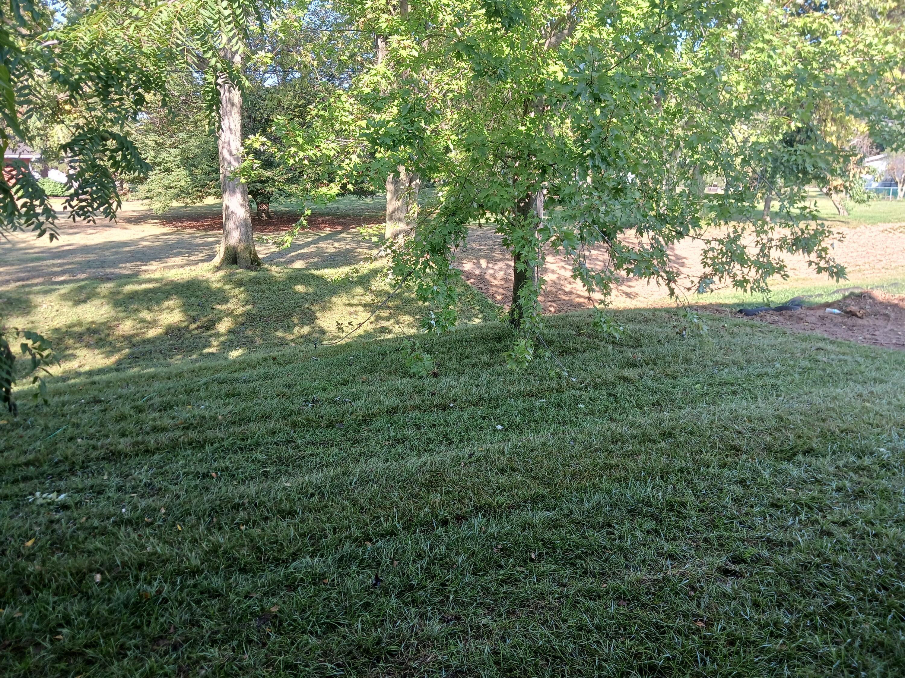 322 Juhl Road Circleville, OH 43113 - Photo 26 of 30 20231003_102359