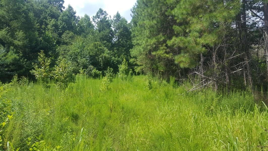 1569 Jaudon Road Elberton, GA 30635 - Photo 36 of 70 20180808_151310