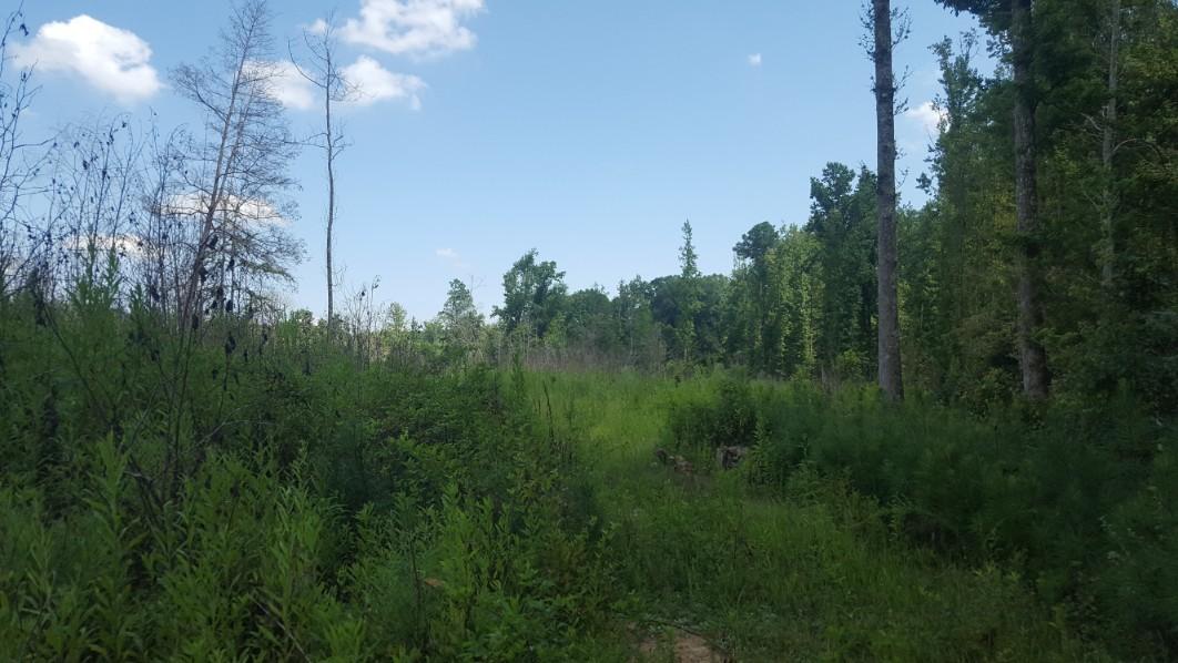 1569 Jaudon Road Elberton, GA 30635 - Photo 44 of 70 20180808_152735
