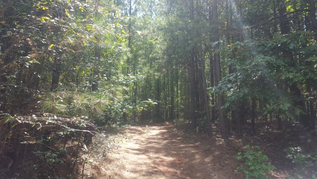 1569 Jaudon Road Elberton, GA 30635 - Photo 7 of 70 20180808_144809