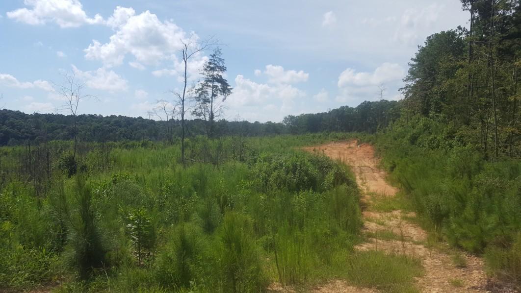 1569 Jaudon Road Elberton, GA 30635 - Photo 8 of 70 20180808_154529