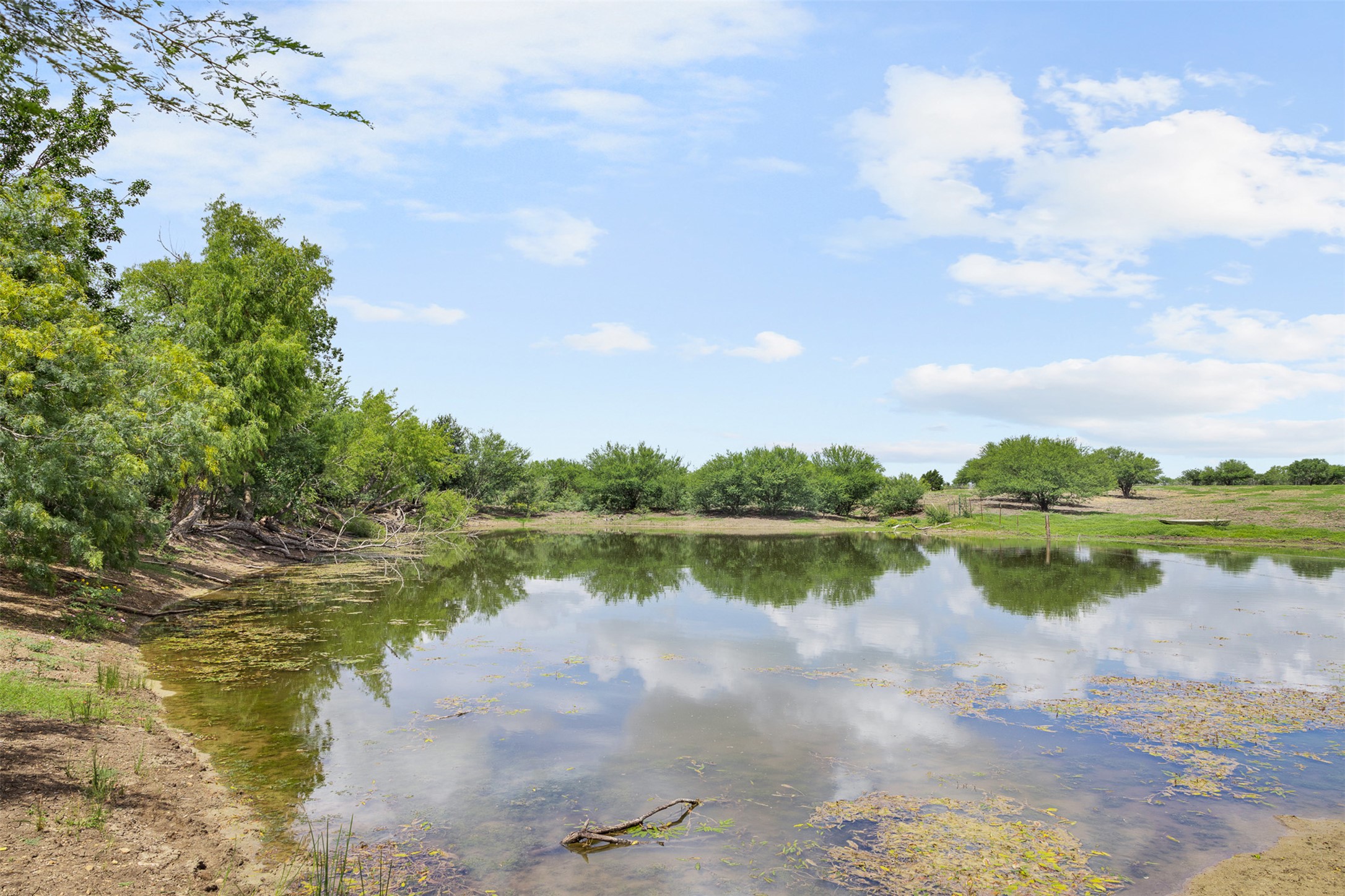3315 Dry Creek Road Lockhart, TX 78644 - Photo 9 of 26 A tranquil pond reflecting the sky provides a serene natural element on this verdant property.
