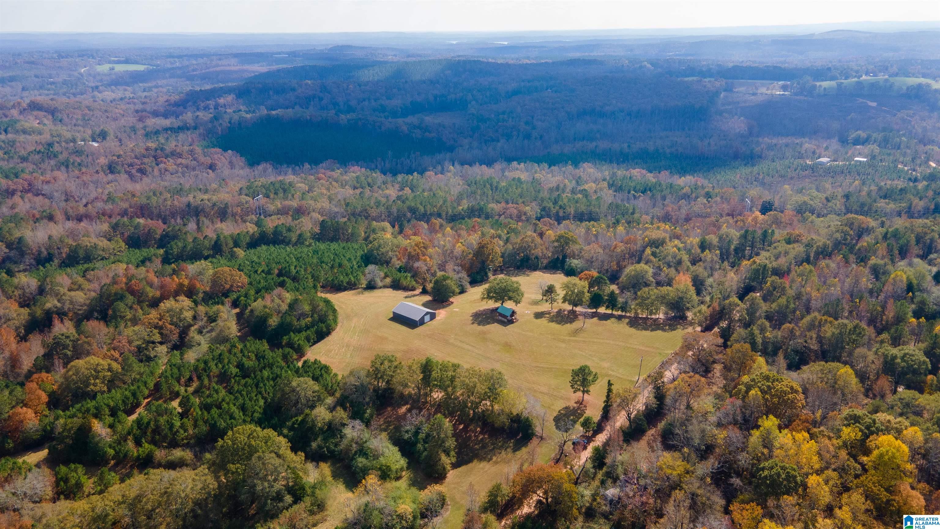 0 White Plains Road Munford, AL 36268 - Photo 4 of 17