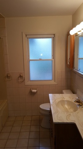 10925 Major Avenue Chicago Ridge, IL 60415 - Photo 8 of 8