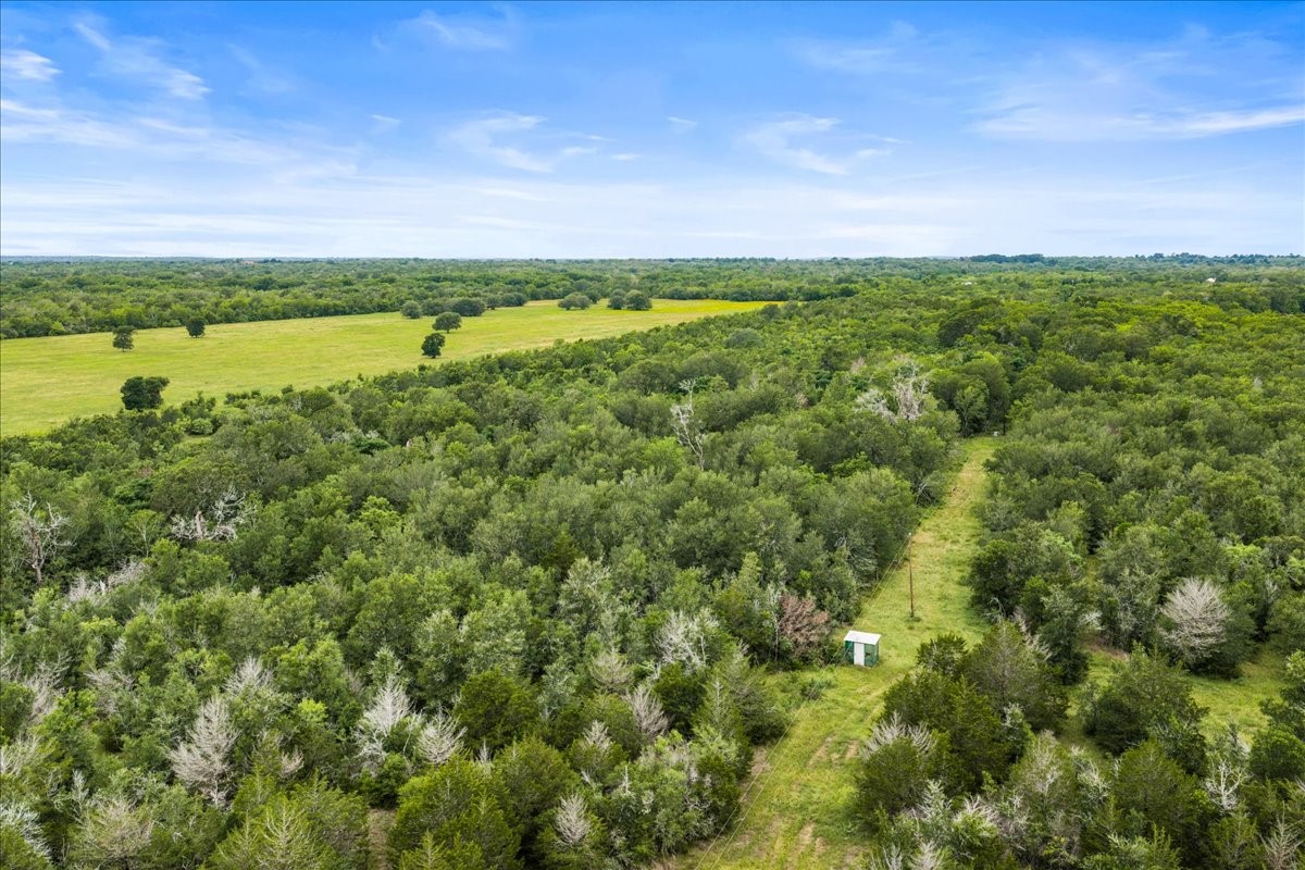 288 Charcoal Road Rosanky, TX 78953 - Photo 4 of 23 a view of a field with an ocean