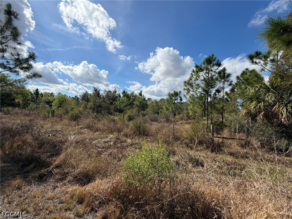 49337 Bermont Road Punta Gorda, FL 33982 - Photo 6 of 15 Gallery Image 6