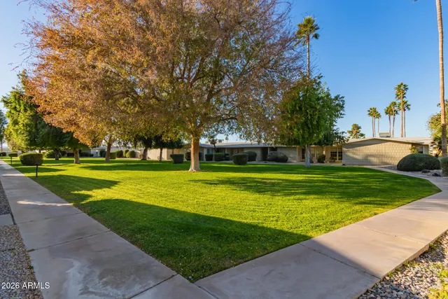 a view of a park with large trees