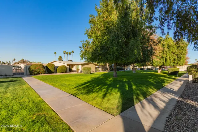 a view of a park with large trees