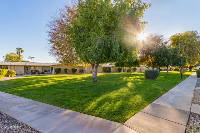 a view of a park with large trees