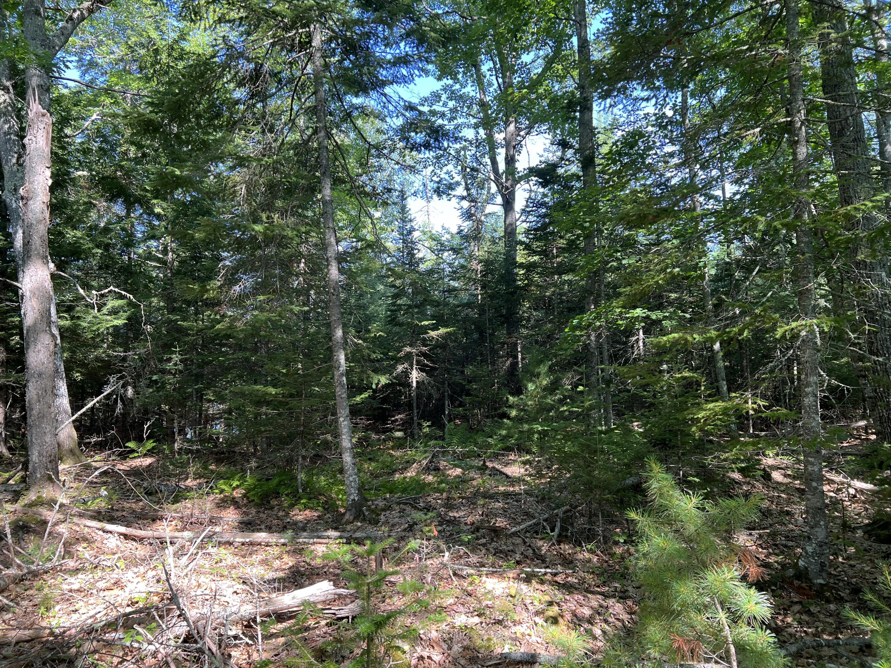 -lowerfal Lower Falls Road Orland, ME 04472 - Photo 8 of 11 IMG_8685 1
