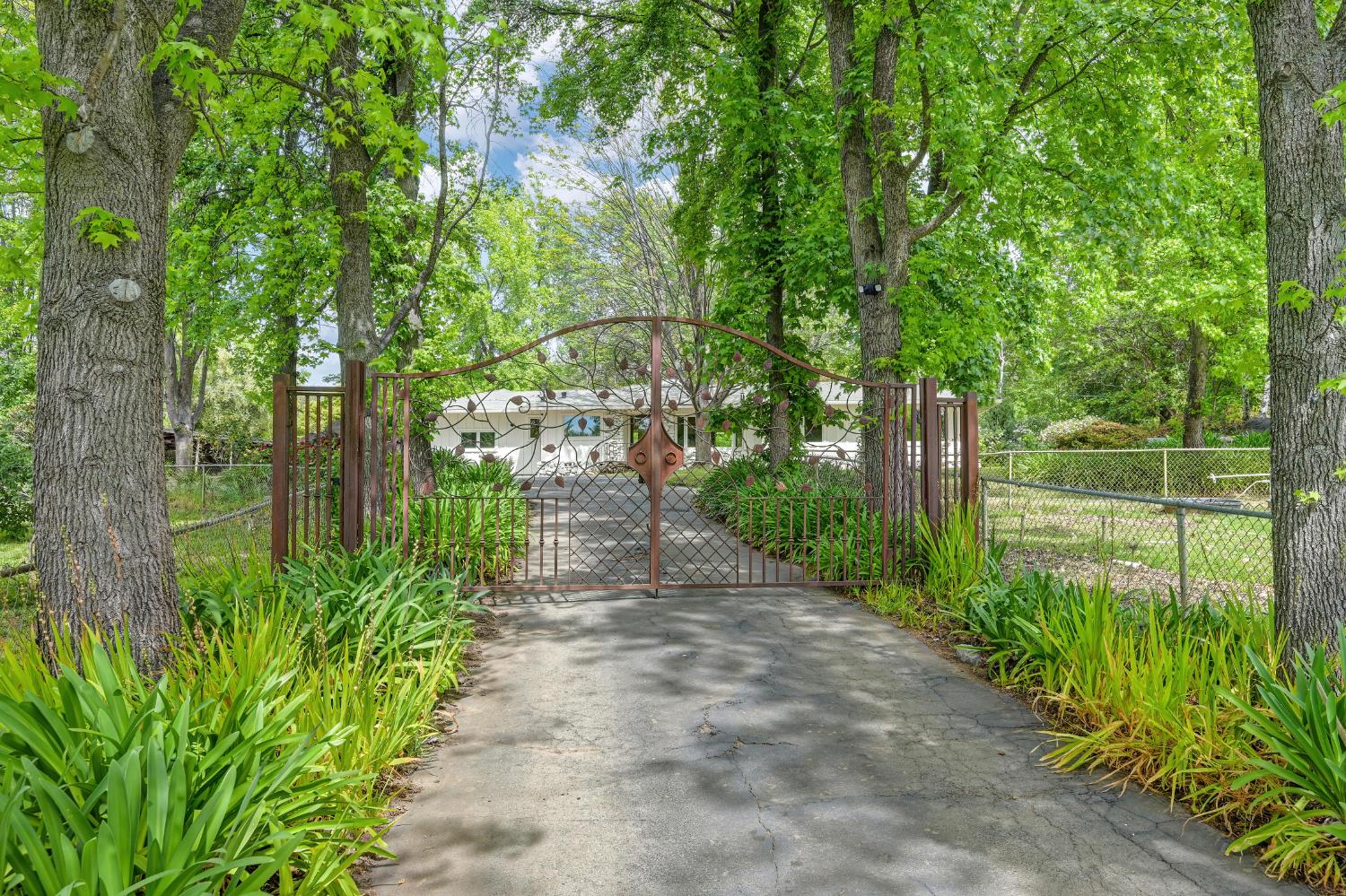8495 Chili Hill Road Newcastle, CA 95658 - Photo 1 of 58